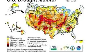 Nasilenie suszy w poszczególnych stanach (U.S. Drought Monitor)