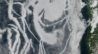 Naturalne chmury i obłoki spalin statków w rejonie Zachodniego Wybrzeża (NASA image courtesy Jeff Schmaltz, LANCE MODIS Rapid Response)