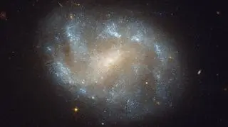 NGC 1483 w pełnej okazałości (NASA)