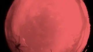 Niecodzienne obserwacje (NASA)