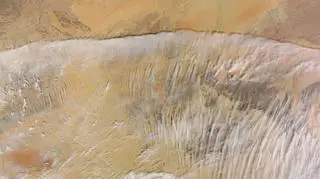 Niezwykłe chmury nad Saharą sfotografowane z satelity NASA