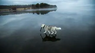 Niezwykły efekt stąpania po wodzie