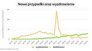 Nowe przypadki oraz wyzdrowienia (tvnmeteo