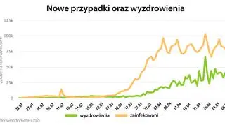 Nowe przypadki oraz wyzdrowienia (tvnmeteo