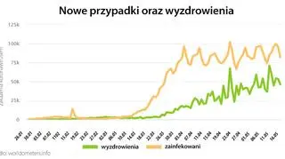 Nowe przypadki oraz wyzdrowienia (tvnmeteo.pl za worldometers.info)
