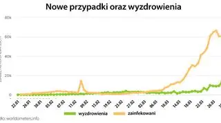 Nowe przypadki oraz wyzdrowienia (worldometers.info)