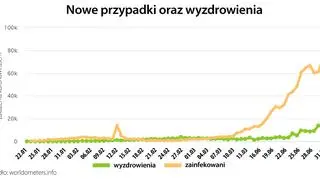 Nowe przypadki oraz wyzdrowienia (worldometers.info)