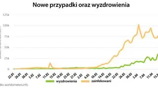 Nowe przypadki oraz wyzdrowienia (worldometers.info)