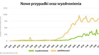Nowe przypadki oraz wyzdrowienia (worldometers