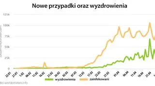 Nowe przypadki oraz wyzdrowienia (worldometers.info)