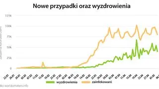 Nowe przypadki oraz wyzdrowienia (worldometers.info)