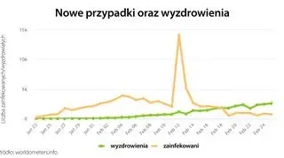 Nowe przypadki wyzdrowienia (tvnmeteo.pl za worldometers.info)
