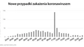 Nowe przypadki zakażenia koronawirusem (tvnmeteo