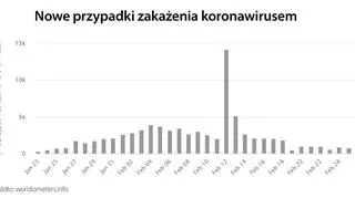 Nowe przypadki zakażenia koronawirusem (tvnmeteo.pl za worldometers.info)