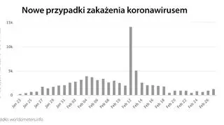 Nowe przypadki zakażenia koronawirusem (tvnmeteo.pl za worldometers.info)