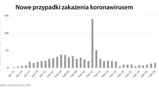 Nowe przypadki zakażenia koronawirusem (tvnmeteo