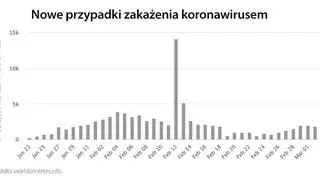 Nowe przypadki zakażenia koronawirusem (tvnmeteo