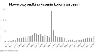 Nowe przypadki zakażenia koronawirusem (tvnmeteo.pl za worldometers.info)