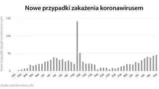 Nowe przypadki zakażenia koronawirusem (tvnmeteo.pl za worldometers.info)