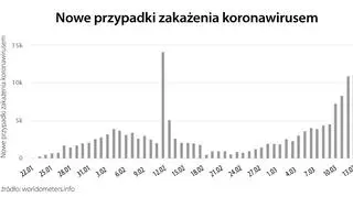 Nowe przypadki zakażenia koronawirusem (tvnmeteo.pl za worldometers.info)