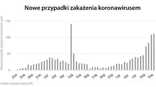 Nowe przypadki zakażenia koronawirusem (tvnmeteo.pl za worldometers.info)