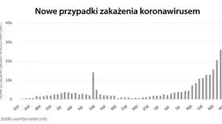 Nowe przypadki zakażenia koronawirusem (tvnmeteo.pl za worldometers.info)