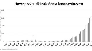 Nowe przypadki zakażenia koronawirusem (tvnmeteo.pl za worldometers.info)