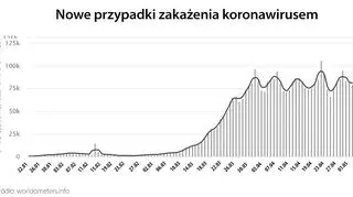 Nowe przypadki zakażenia koronawirusem (tvnmeteo.pl za worldometers.info)