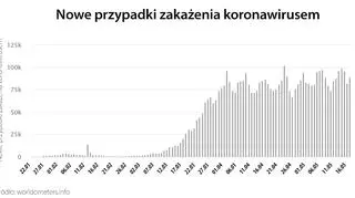 Nowe przypadki zakażenia koronawirusem (tvnmeteo.pl za worldometers.info)