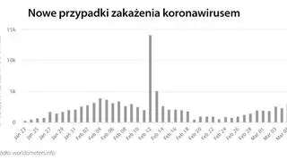 Nowe przypadki zakażenia koronawirusem (tvnmeteo