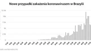 Nowe przypadki zakażenia koronawirusem w Brazylii (tvnmeteo