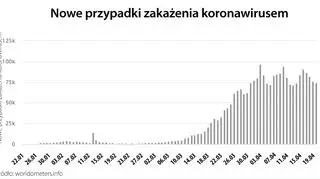 Nowe przypadki zakażenia koronawirusem (worldometers