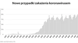 Nowe przypadki zakażenia koronawirusem (worldometers