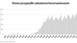 Nowe przypadki zakażenia koronawirusem (worldometers.info)