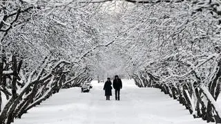 Nowy Rok w Rosji - PAP/EPA