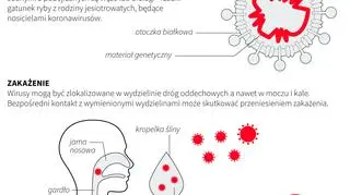 Objawy i przyczyny zakażenia koronawirusem (Adam Ziemienowicz/PAP)