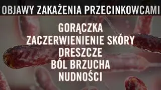 Objawy zakażenia przecinkowcami