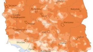 Obszary zagrożone suszą w Polsce (Maciej Zieliński/PAP)
