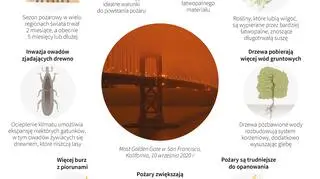 Ocieplenie klimatu sprzyja wielkim pożarom (Maciej Zieliński/PAP)