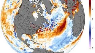 Odchylenia od średniej temperatury wody (NOAA/University of Mine)