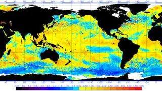 Odchylenie od średniej temperatury powierzchni oceanu 31 grudnia 2018 roku (NOAA)
