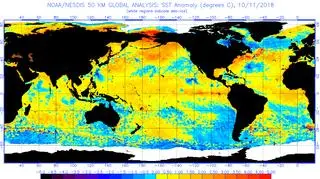 Odchylenie od średniej temperatury powierzchni oceanu na dzień 11 października według NOAA