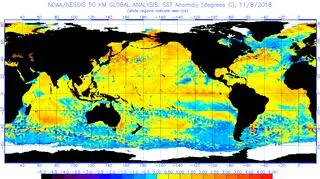 Odchylenie od średniej temperatury powierzchni oceanu na dzień 8 listopada według NOAA