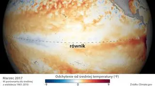 Odchylenie od średniej temperatury powierzchni Oceanu Spokojnego w marcu 2017