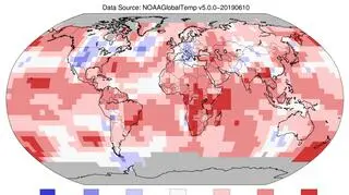Odchylenie od średniej temperatury w maju 2019 roku (NOAA)
