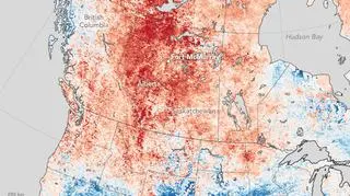 Odchylenie od średniej temperatury w okresie 26 kwietnia - 3 maja
