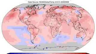 Odchylenie od średniej temperatury w okresie czerwiec-sierpień 2020 (NOAA)