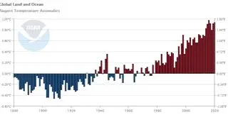 Odchylenie od średniej temperatury w sierpniu w kolejnych latach (NOAA)