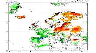 Odchylenie opadów od średniej dla sierpnia (NOAA)