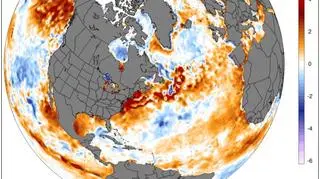 Odchylenie temperatury wód powierzchniowych Atlantyku (Climate Change Institute/University of Maine)